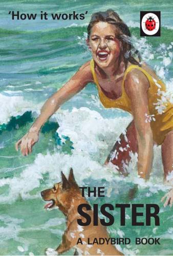 Ladybird Book Of The Sister