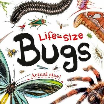 Life-size Bugs