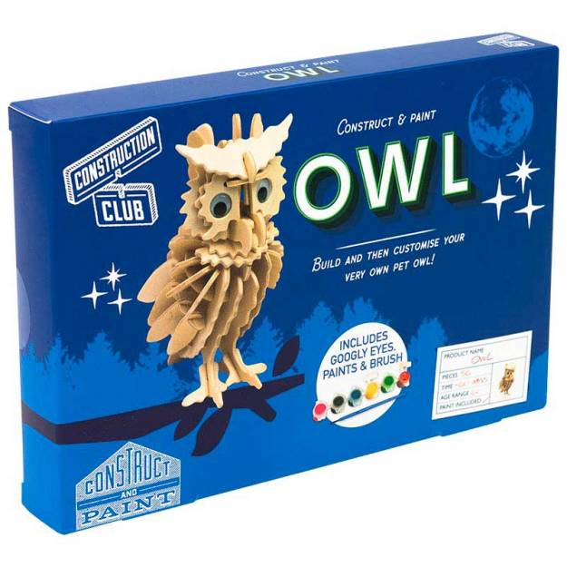Owl Construction Kit & Paint Set