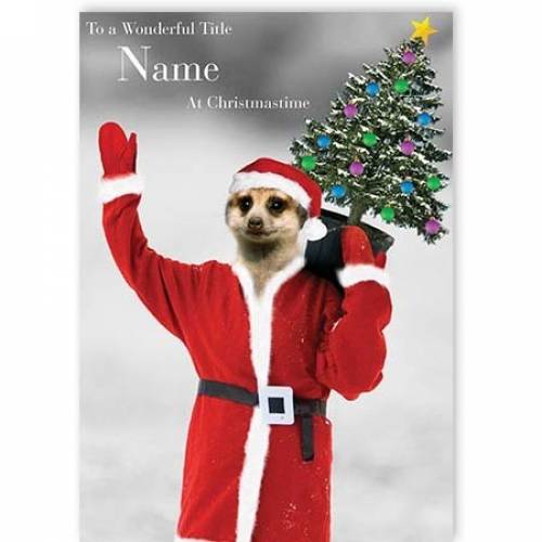 Meerkat Wonderful Christmas Card
