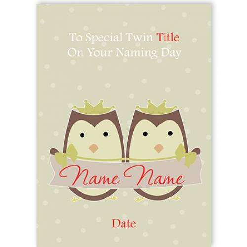 Owls To Special Twin On Naming Day Card