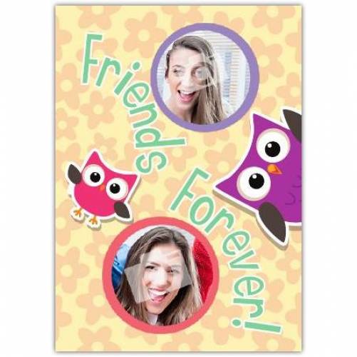 Owl Friends Forever Card