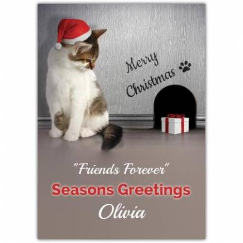 Cat And Mouse Seasons Greetings Christmas Card