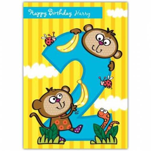 Monkeys Happy 2nd Birthday Card