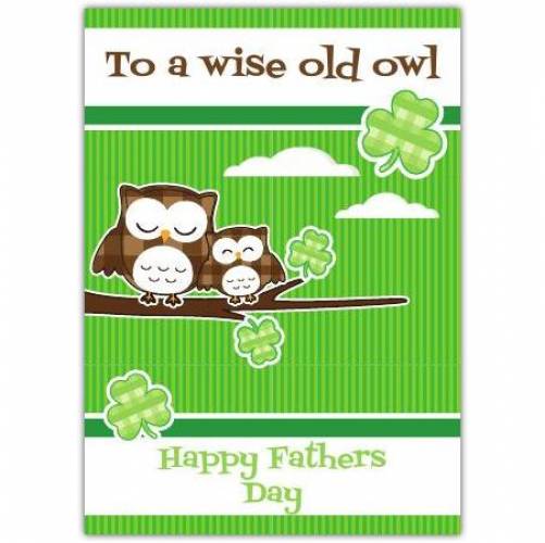 To A Wise Old Owl Happy Father's Day Card