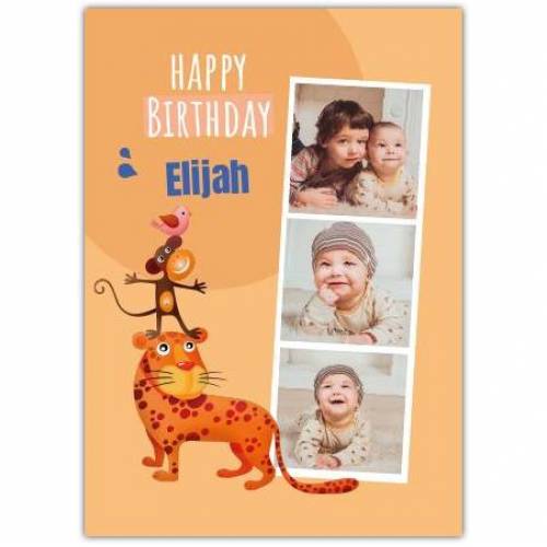 Happy Birthday 3 Photos Tiger Monkey And Bird Card
