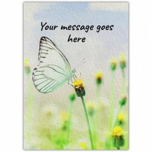 Any Message Butterfly On Flower Card