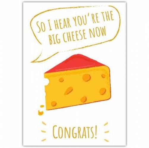 Congratulations Promotion Job Cheese Greeting Card