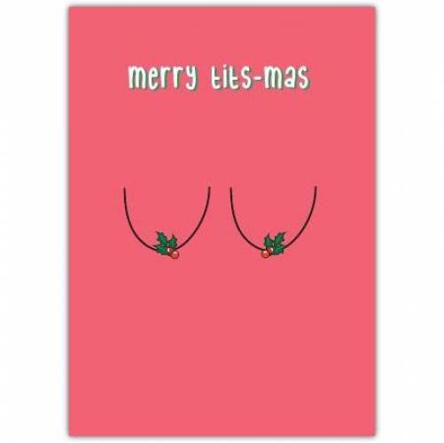 Christmas Merry Titmas Rude Funny Greeting Card