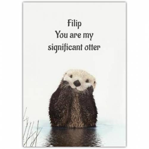 Valentines Day Otterly Stupid Pun Greeting Card