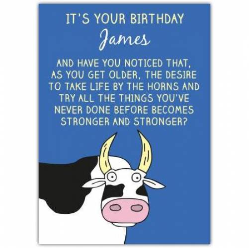 Birthday Funny Bull Greeting Card