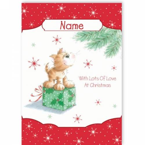 Dog On Giftbox Christmas Card