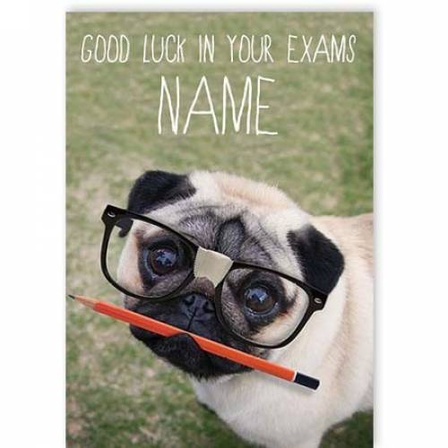 Pug And Pencil Good Luck In Your Exams Card