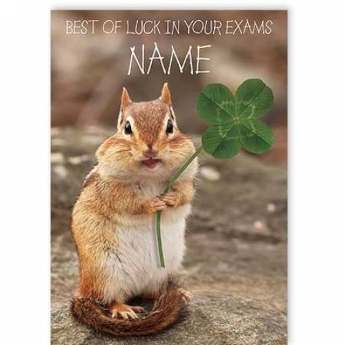 Squirrel Best Of Luck In Your Exams Card
