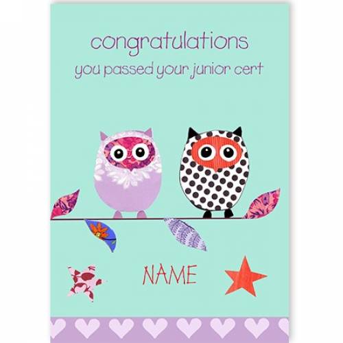 Congratulations You Passed Your Junior Cert Owls Card