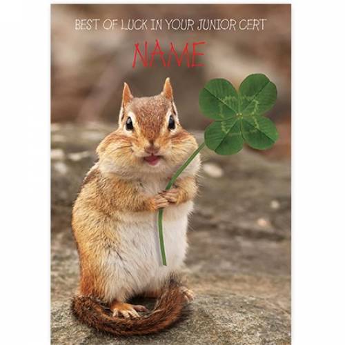 Best Of Luck In Your Junior Cert Four Leaf Clover Card