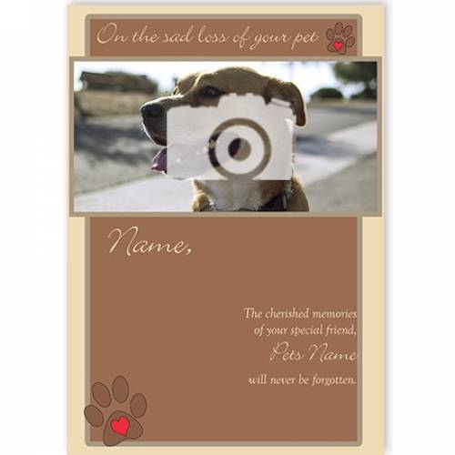 Photo On The Sad Loss Of Your Pet Sympathy Card