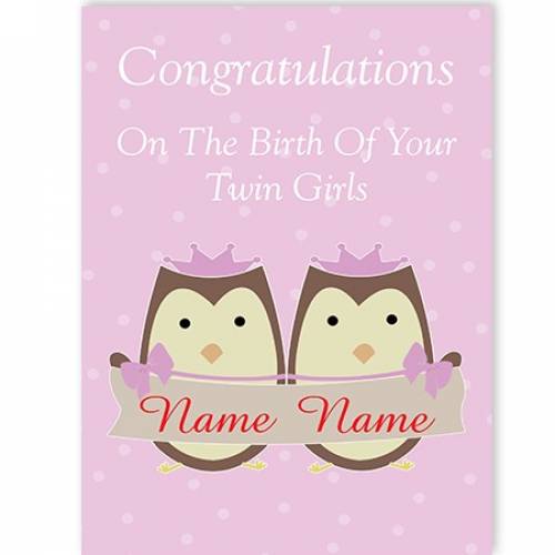 Owls Birth Of Your Girl/Girl Twins Congratulations Card
