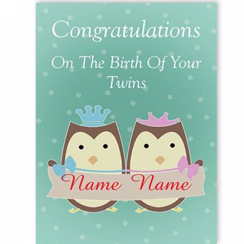 Owls Birth Of Your Boy/Girl Twins Congratulations Card