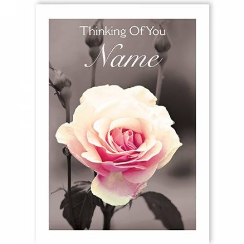 Rose Thinking Of You Sympathy Card