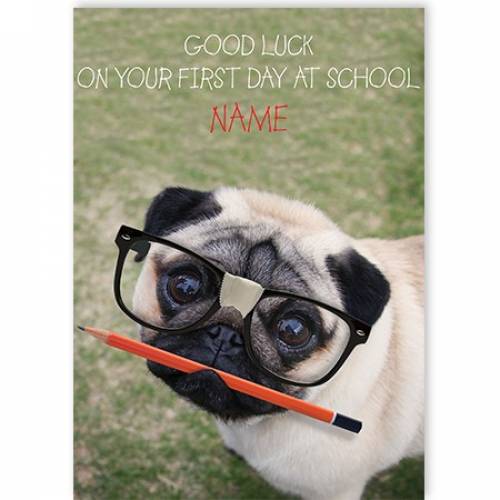 Pug With Glasses And Pencil First Day At School Good Luck Card