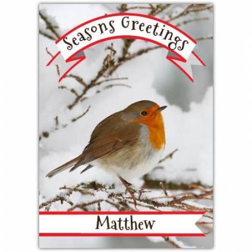 Seasons Greetings Robin Card
