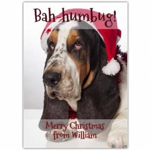 Bah-humbug Dog Christmas Card