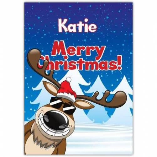 Sunglasses Reindeer Christmas Card