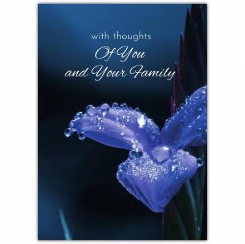 Sympathy Blue Flower Card
