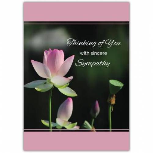 Sympathy With Pink Flowers Blossoming  Card