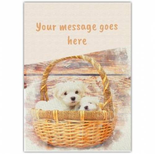 Any Message Puppies In A Basket Card