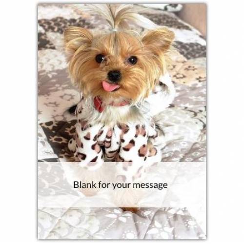 Any Message Cute Doggy Greeting Card