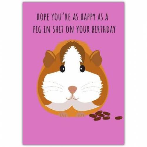 Happy Birthday Guinea Pig Rude Greeting  Card
