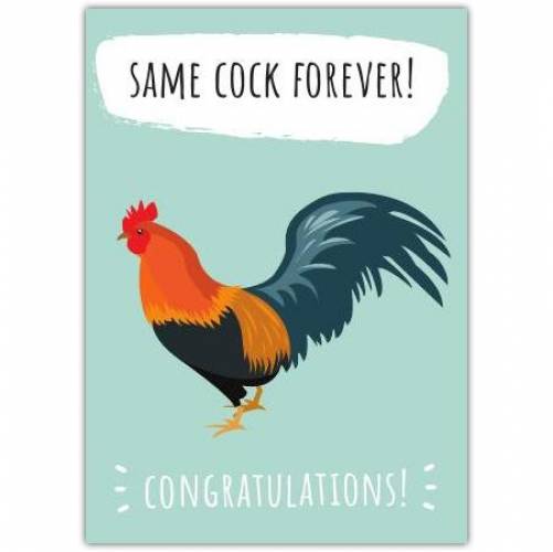 Congratulations Engagement Same Cock Rude Greeting Card