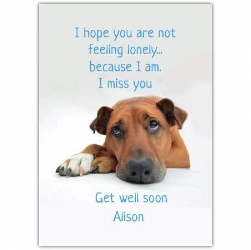 Get Well Soon Miss You Dog Greeting Card