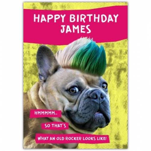 Old Rocker Punk Dog Happy Birthday Card