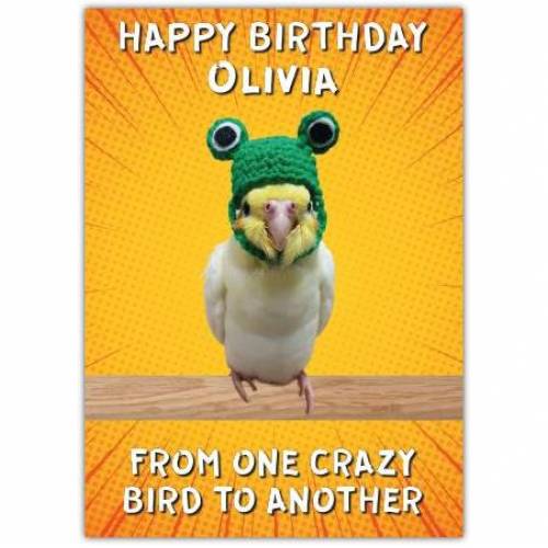 From One Crazy Bird To Another Birthday Card