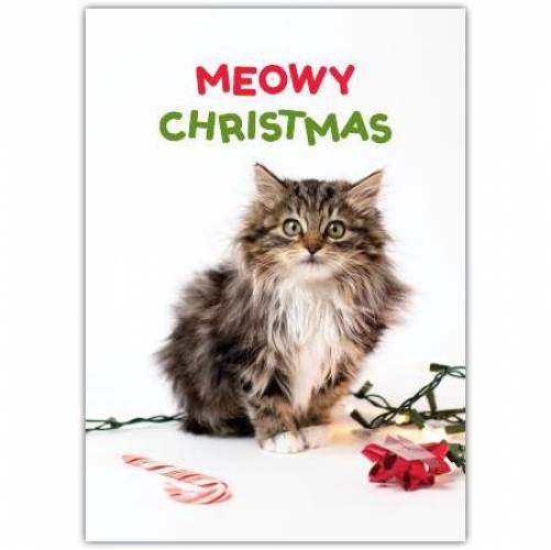 Meowy Christmas Tabby Greeting Card