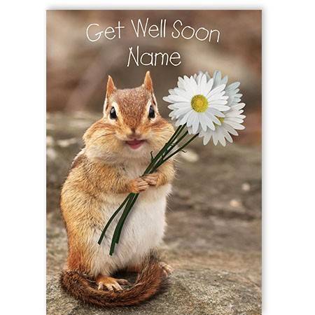 Squirrel Get Well Soon Card | Greeting Card | greetings.ie | 2000-00798