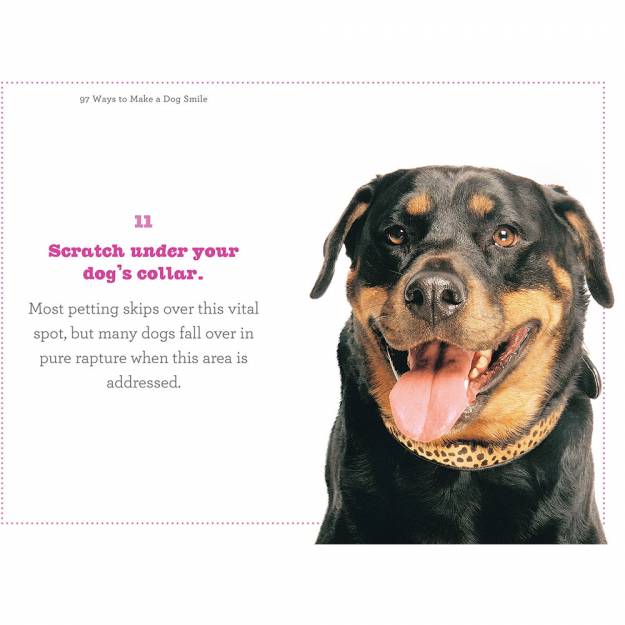 97 Ways To Make A Dog Smile