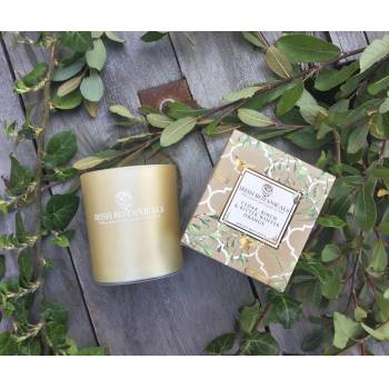 Irish Botanicals Cedar, Birch & Bitter Winter Orange Candle