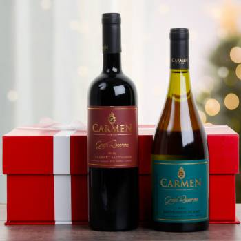 Chilean Double Mixed Wine Gift Pack