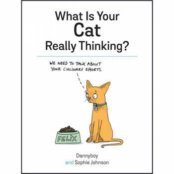 What Is Your Cat Really Thinking