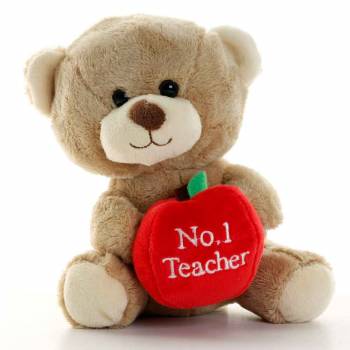 No.1 Teacher 6