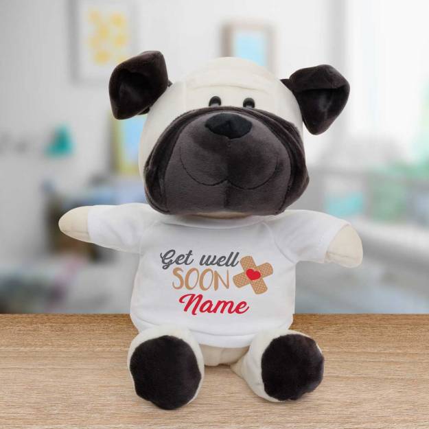 Get Well Soon Any Name - Personalised Animal