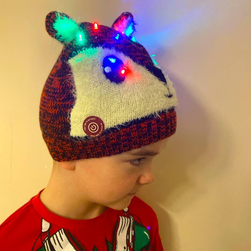 Kids Animal LED Hat (Assorted)
