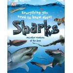Everything You Need To Know About Sharks