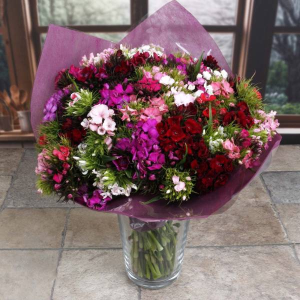 The Sweet William Fresh Flowers Bouquet