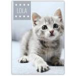 Pet Photo Card