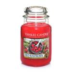 Red Raspberry Large Jar From Yankee Candle